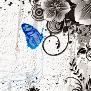 Meet your Posher, Miriam